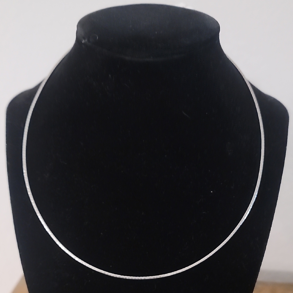 Silver Snake Chain Necklace NWT